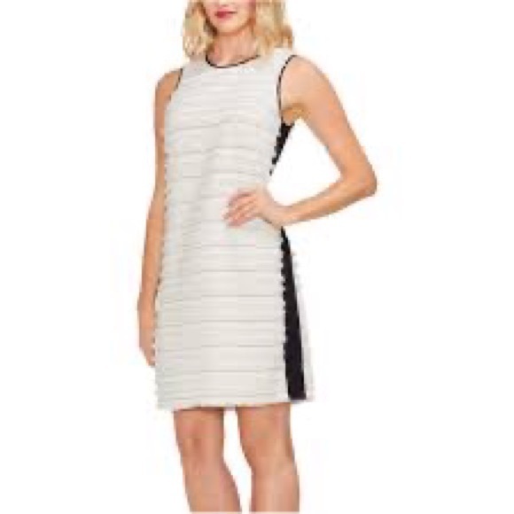 Women’s Sleeveless Striped Fringe Sheath Dress - Picture 1 of 7